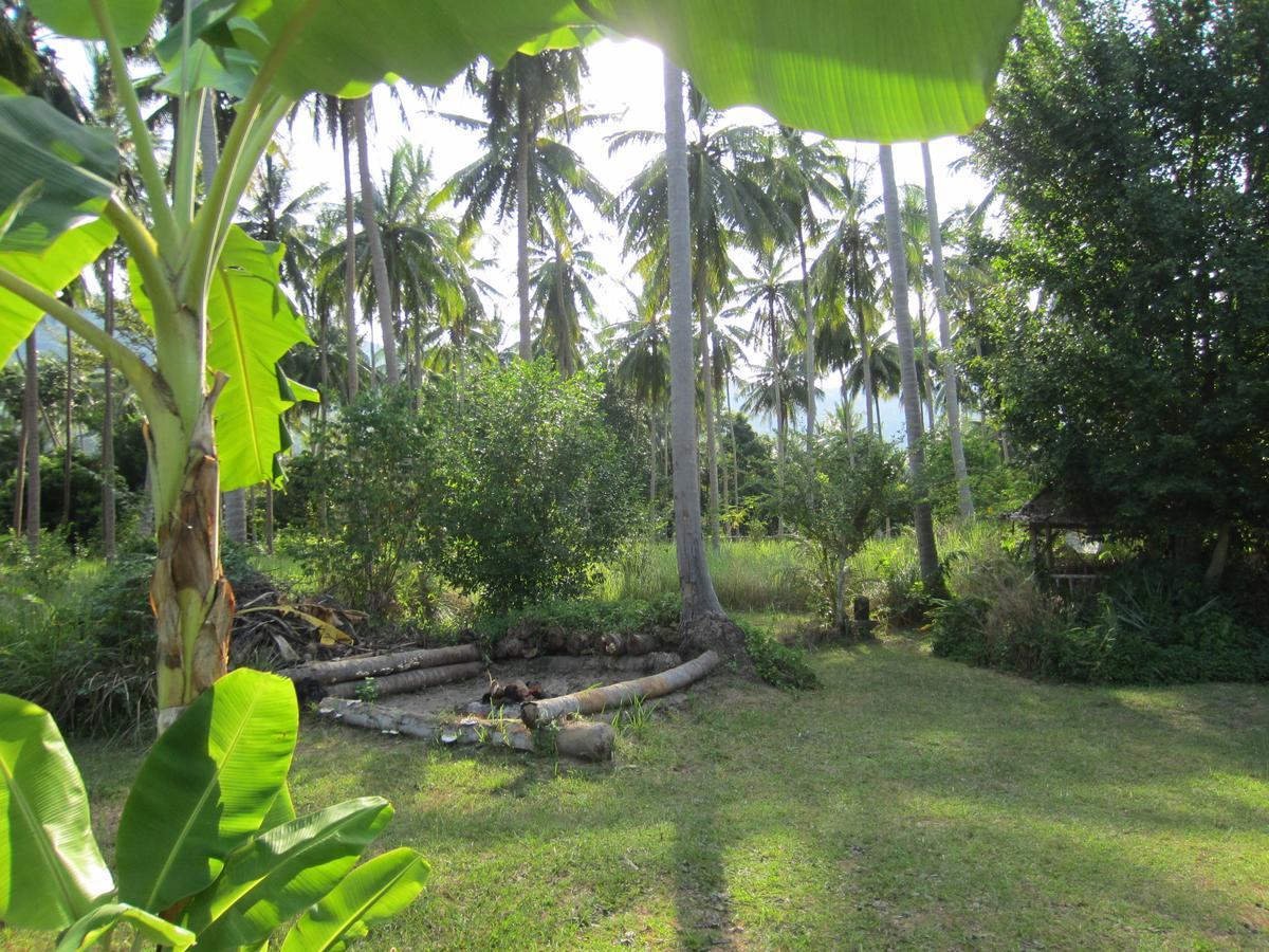 Big Trees Village Eco Friendly