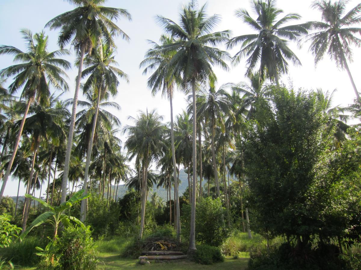 Big Trees Village Eco Friendly * Lamai Beach (Koh Samui)