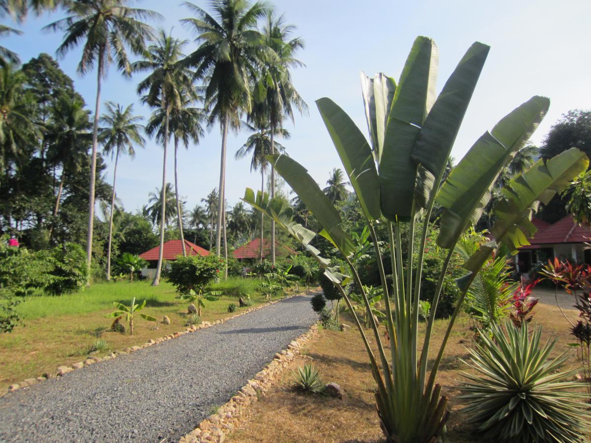Big Trees Village Eco Friendly Resort *