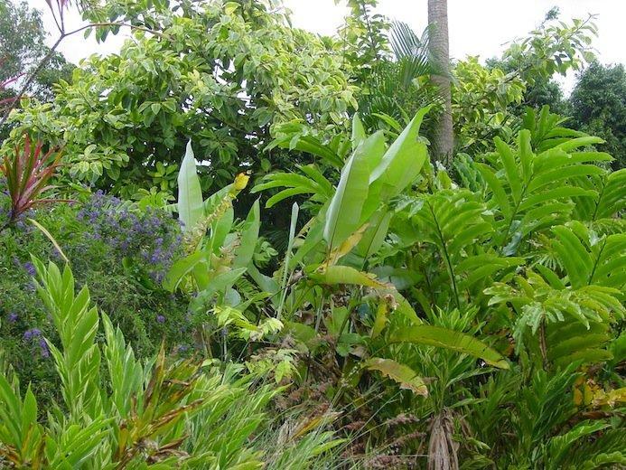 Big Trees Village Eco Friendly *