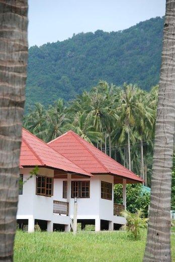 Big Trees Village Eco Friendly Resort