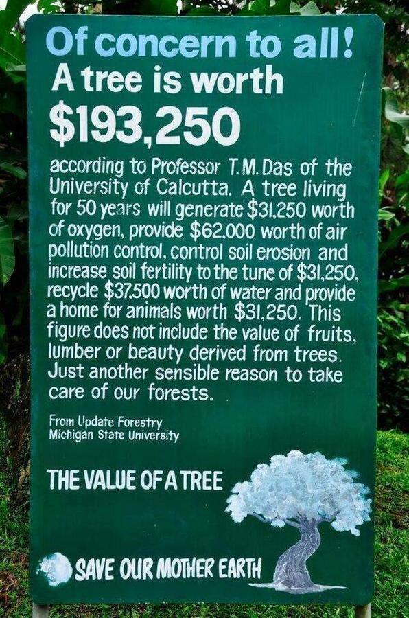 Big Trees Village Eco Friendly Resort *