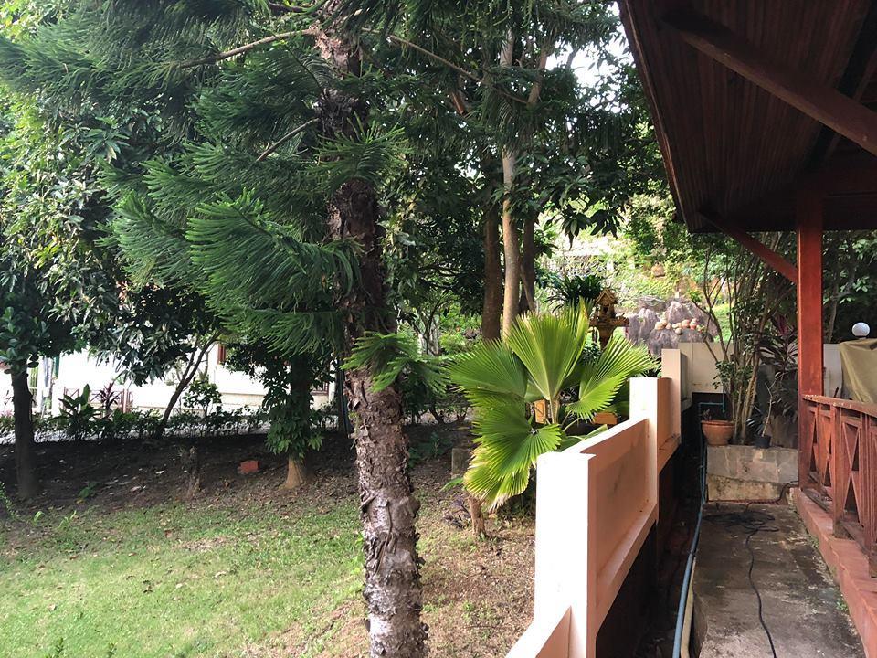 Big Trees Village Eco Friendly Resort