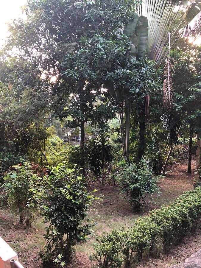 Big Trees Village Eco Friendly *