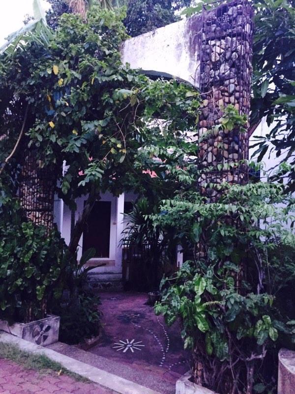Little Jungle 2* Chaweng