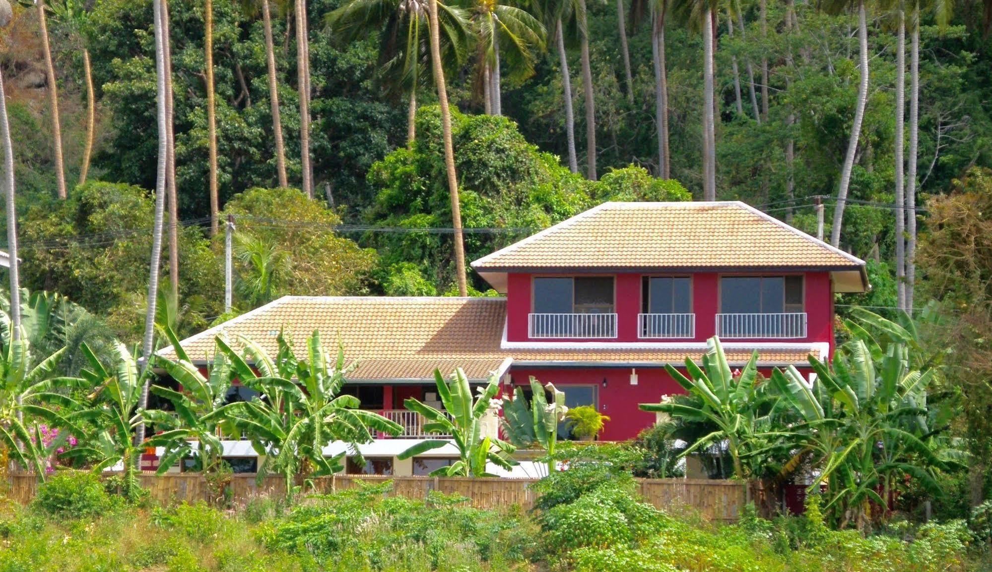 Pink House