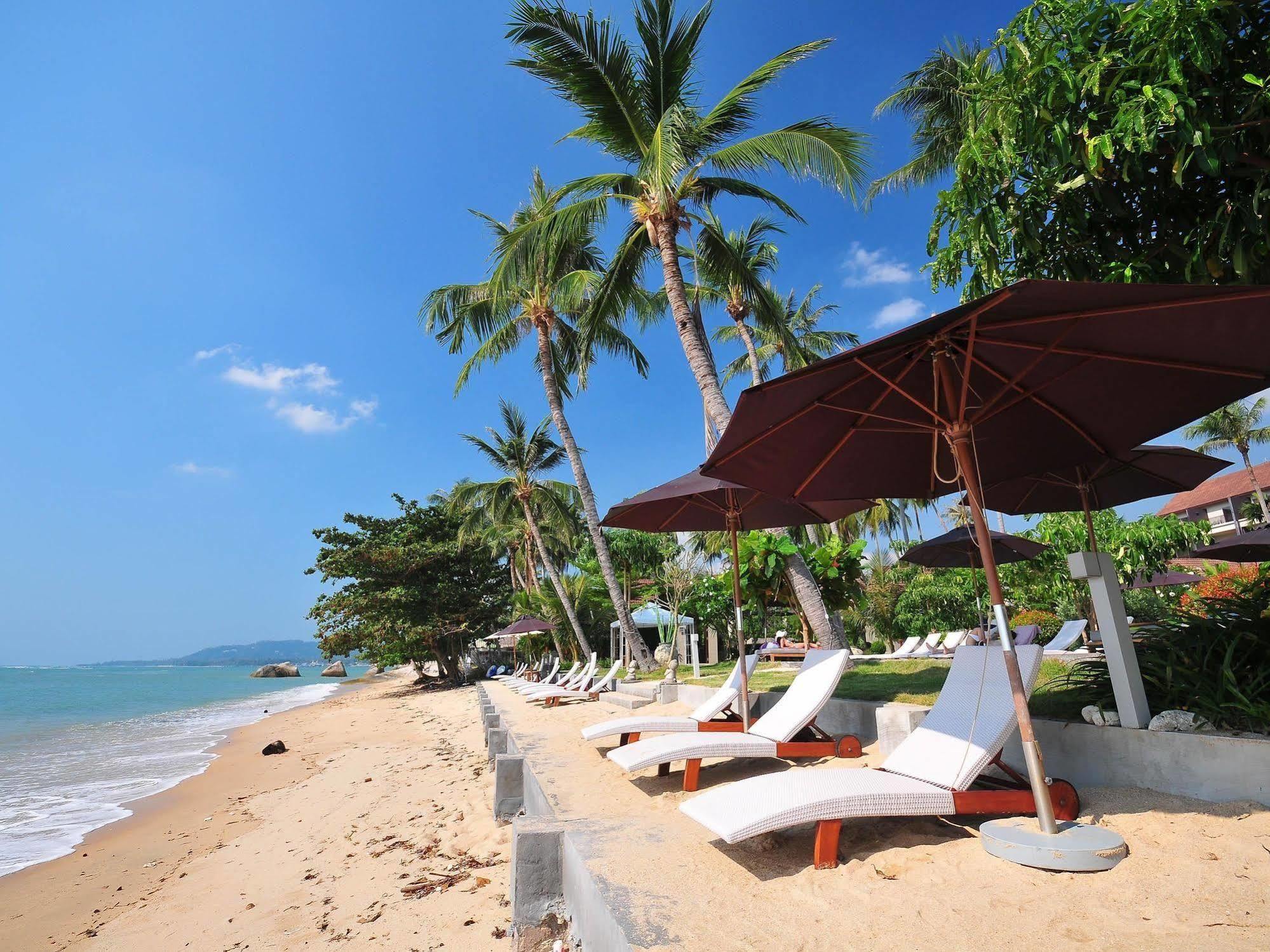 Mercure Hotel 4*