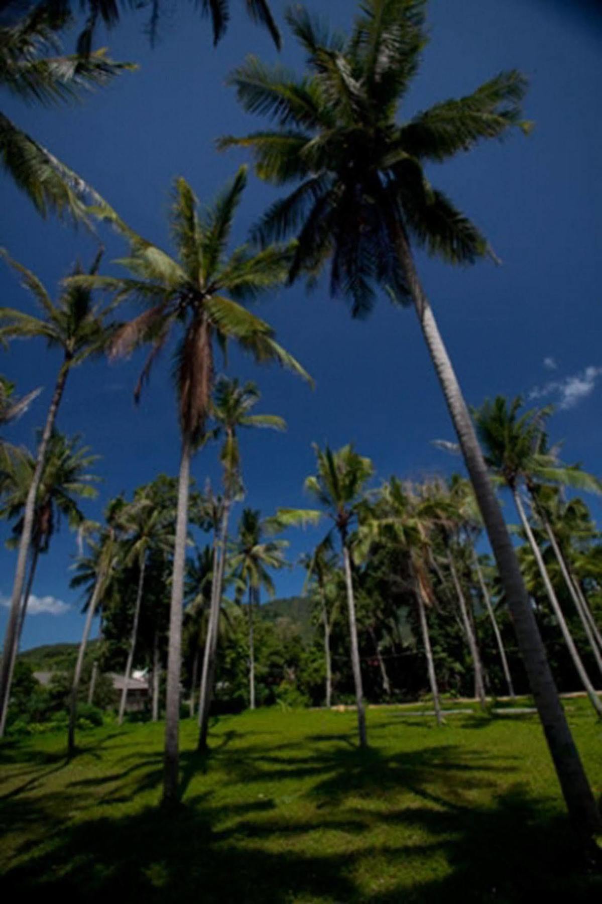 Station touristique Astrococo By Coconut