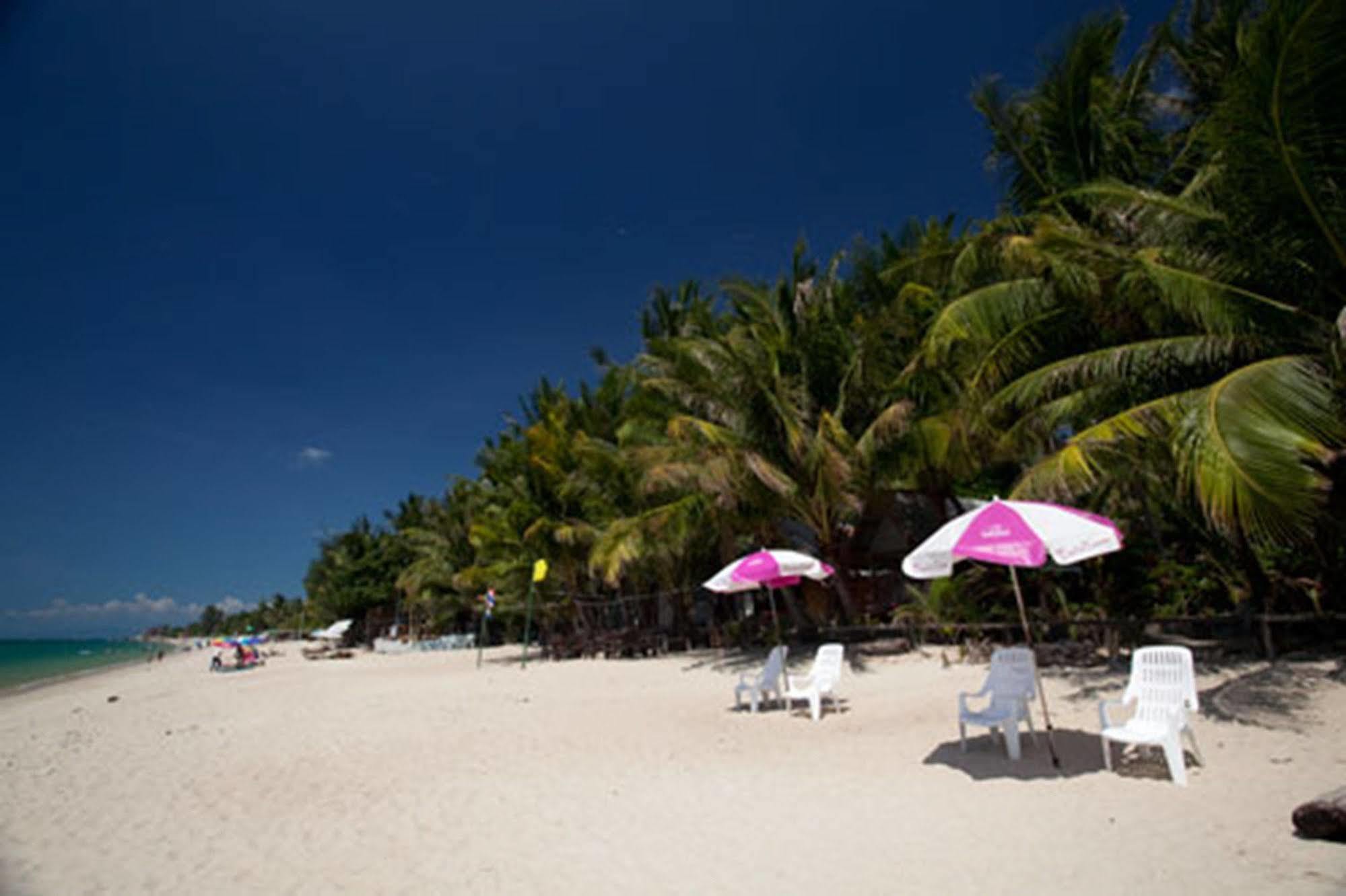 Station touristique Astrococo By Coconut Plage de Lamai