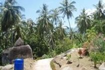 Seaview *
