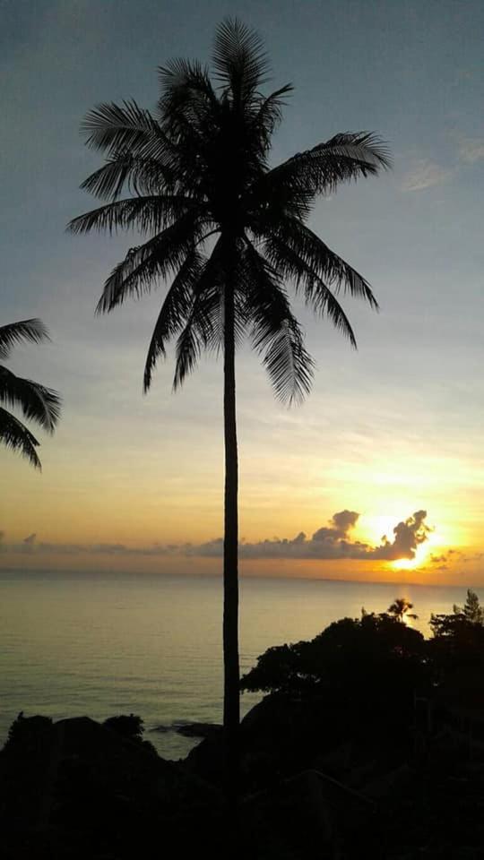 Hi Coral Cove - Snorkeling Point 2*