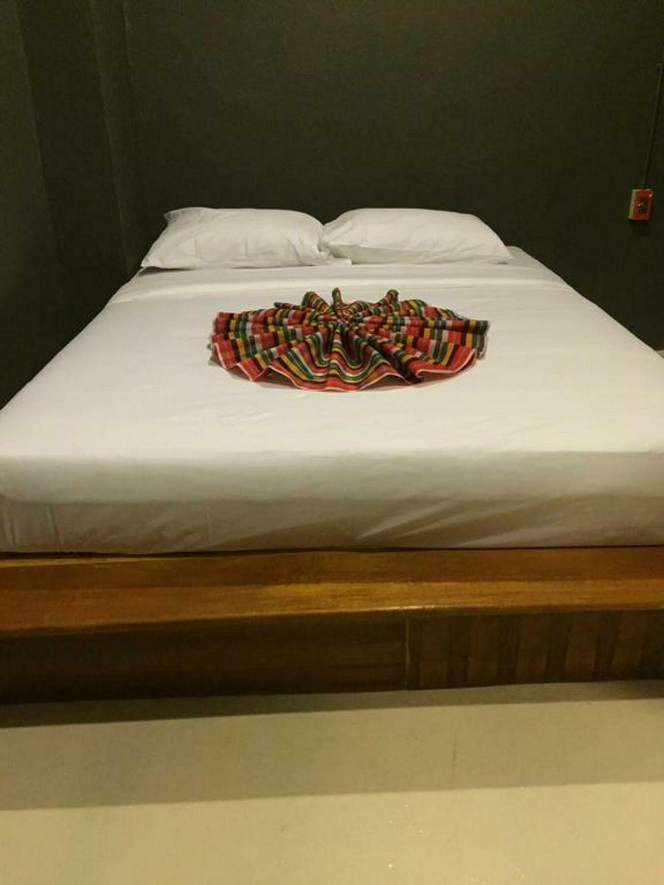 Albergue Pi Coco *