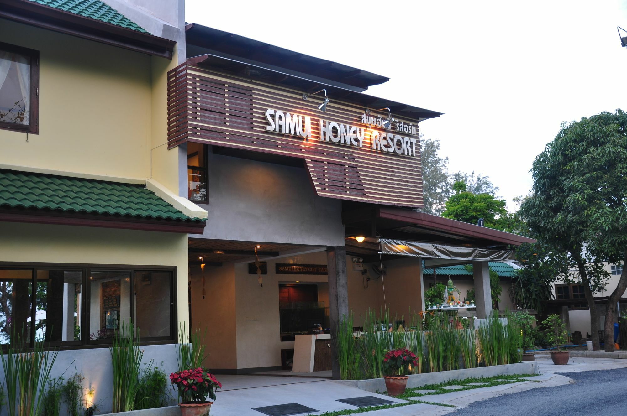 Samui Honey Backpacker Hotel Choeng Mon