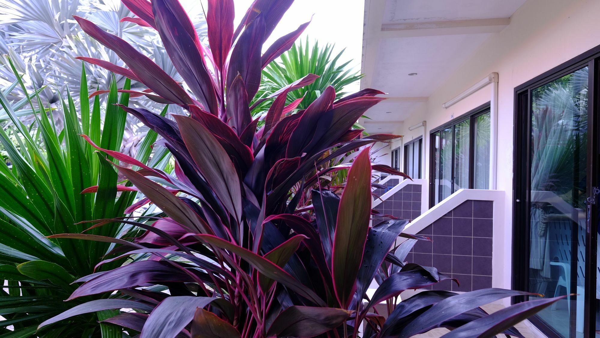 Gasthof Samui 2*