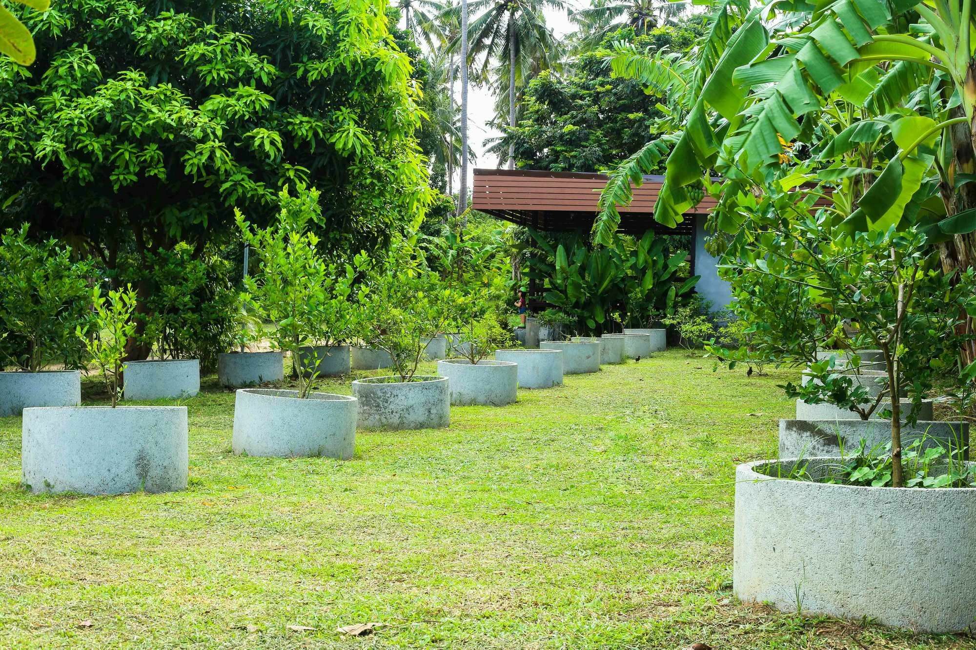 Bang Po Hut Resort 3*