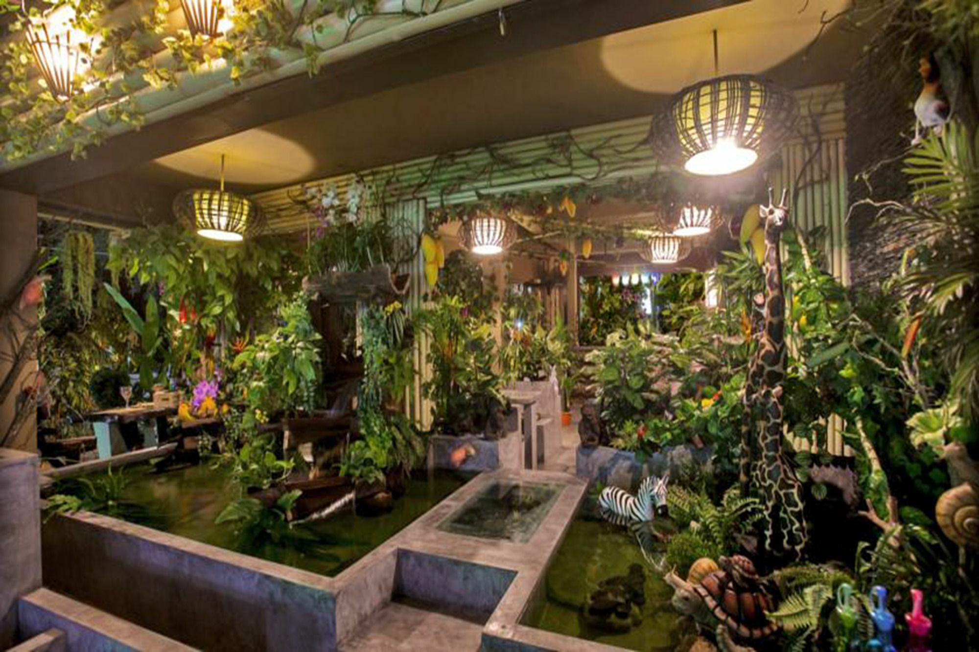 Hotel Samui