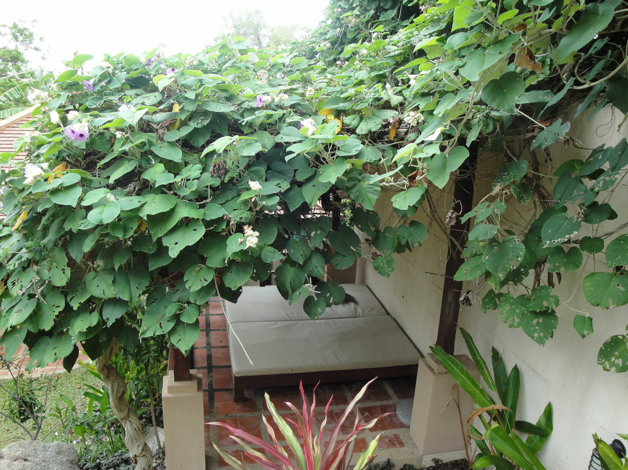 Vila The Plantation