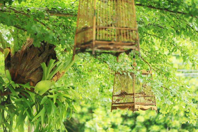 Viva Vacation Resort Lipa Noi