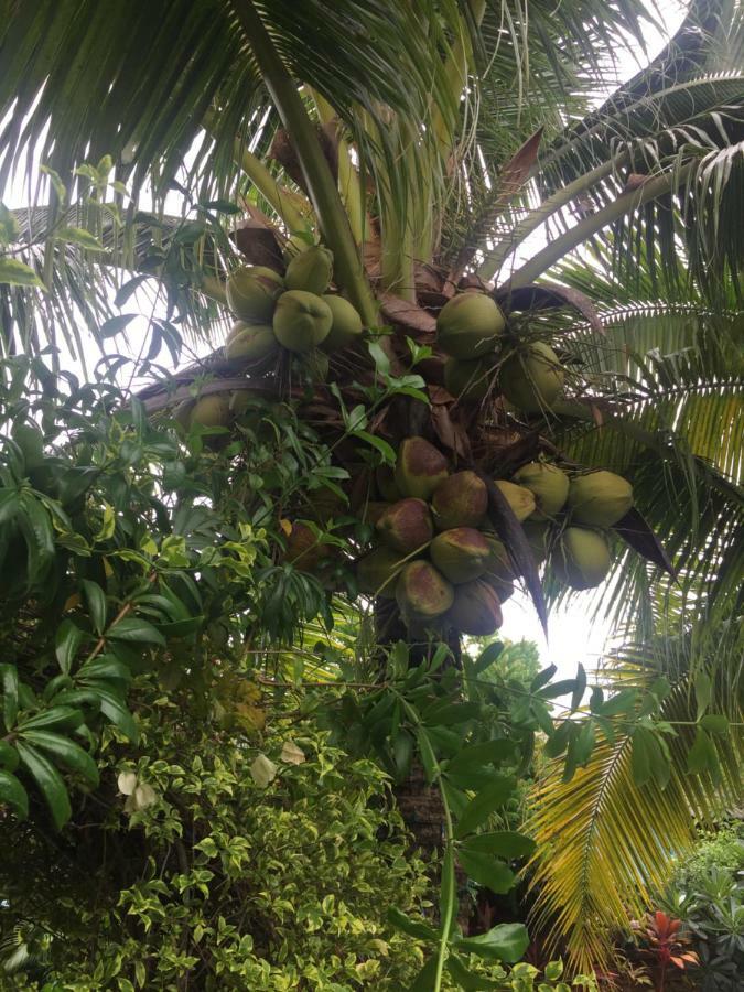 Lemon House Samui 3*