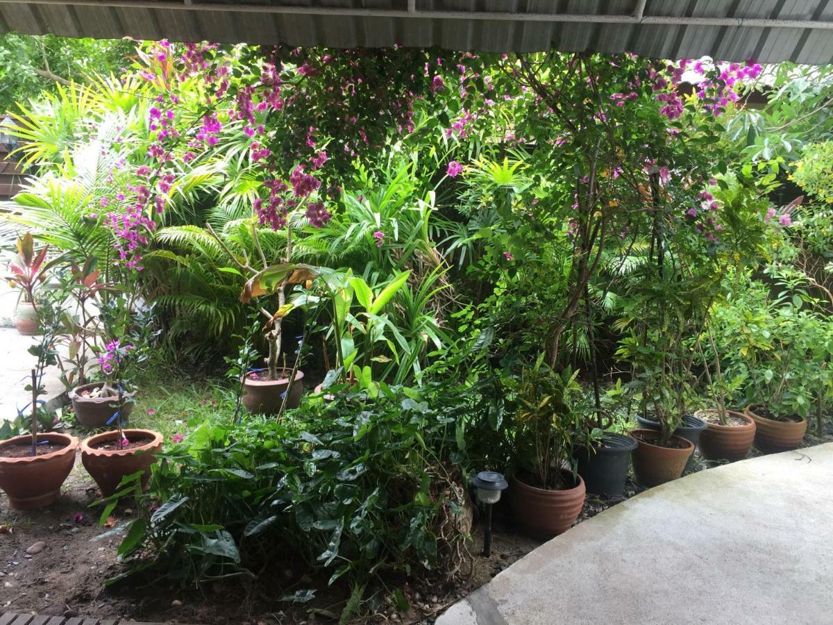 Hotel Lemon House Samui