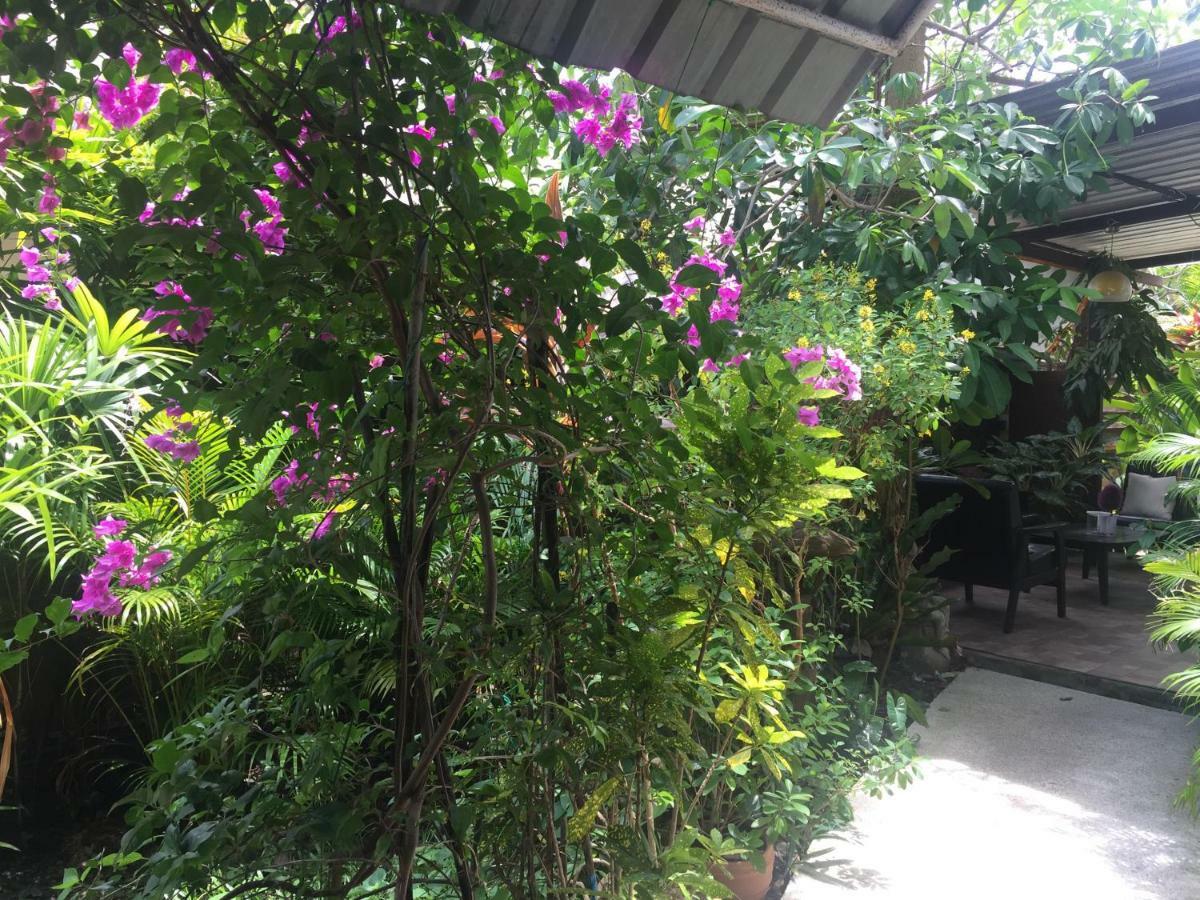 Lemon House Samui