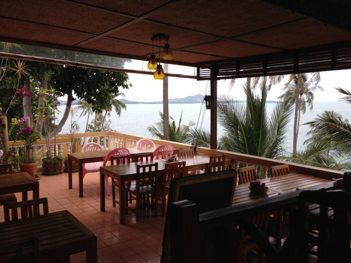 Tempat peranginan Hi Coral Cove - Snorkeling Point