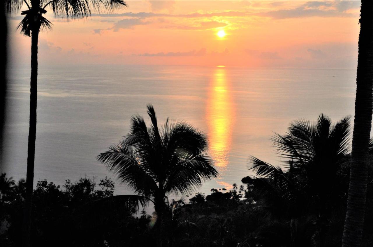 Kapuhala 5*
