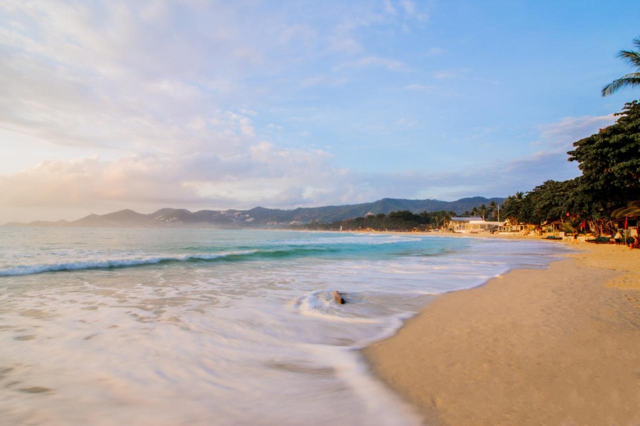 J4 Samui - Sha
